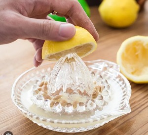 파사바체 레몬 스퀴저 착즙기 짜개 강판